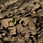 Risse im Boden, ein Bodengutachten ist lohnenswert